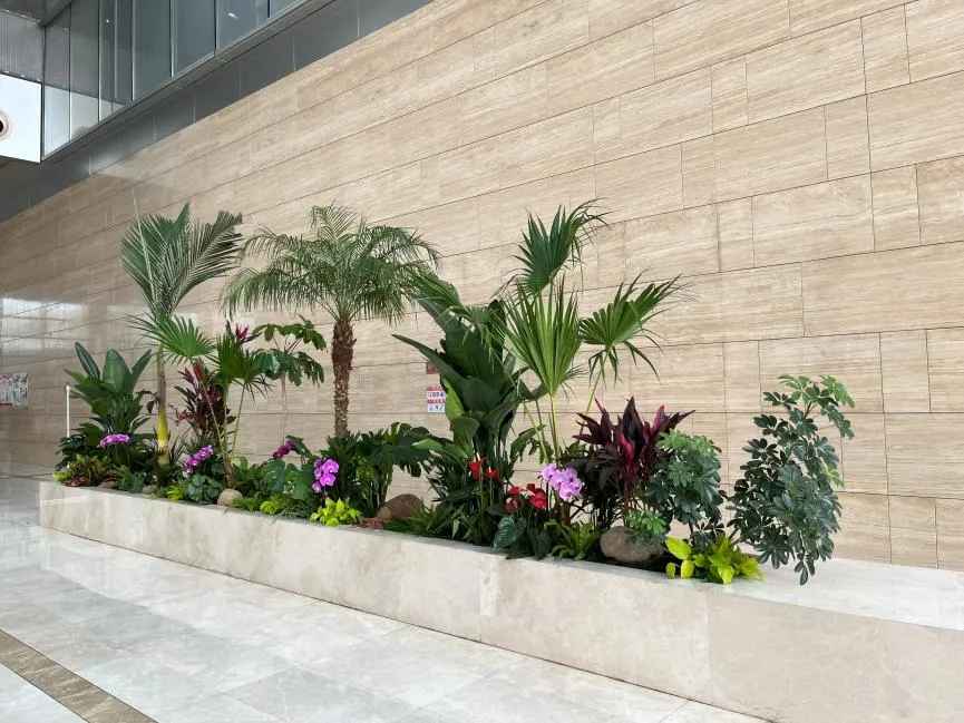 余姚盆景租摆设计 余姚盆景租摆设计